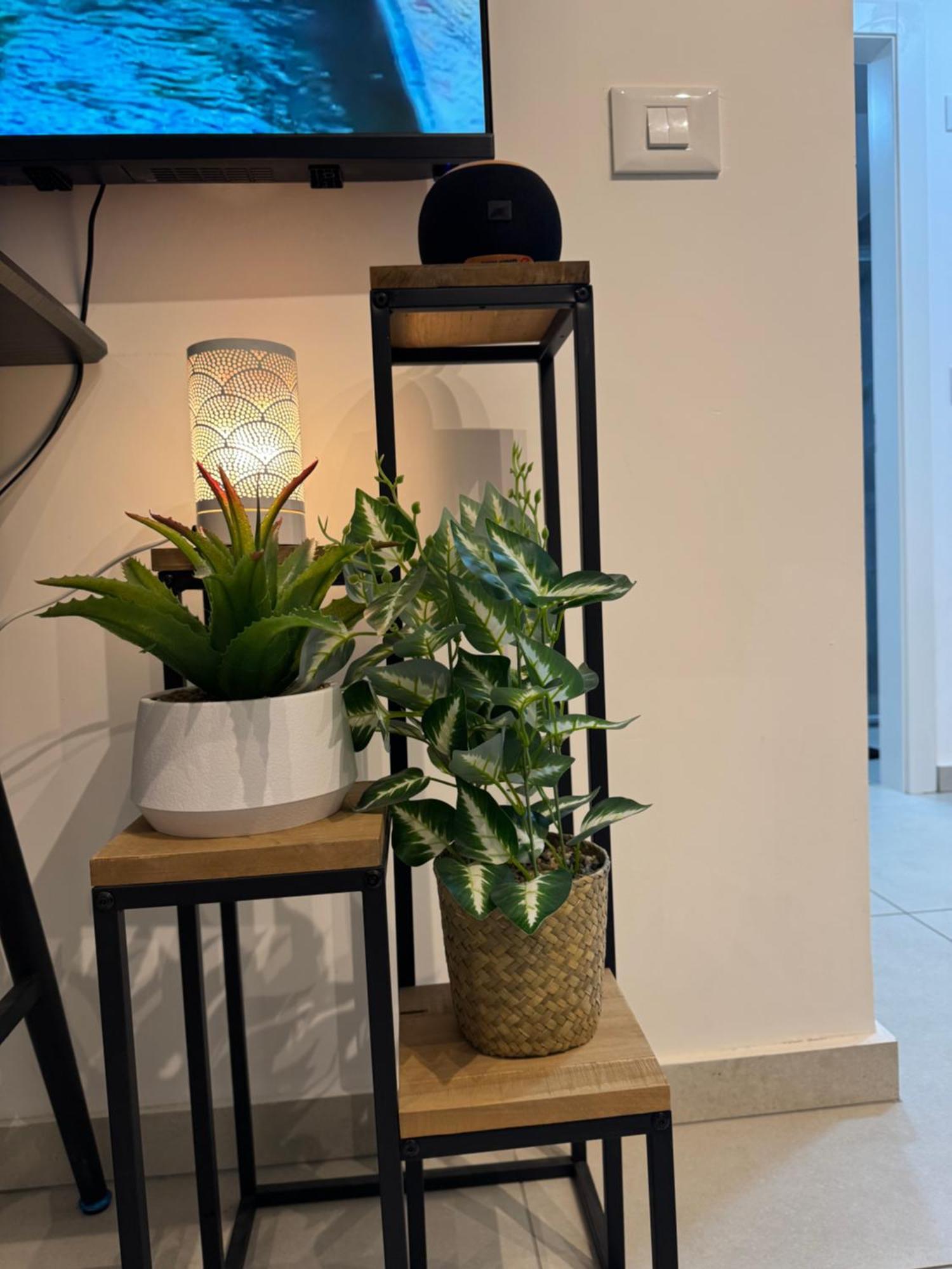 פסגת הדקל Apartment Eilat Exterior photo